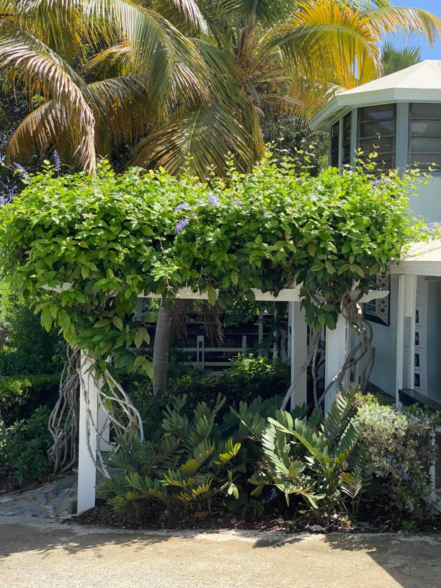 Club Seabourne Hotel Isla Culebra Extérieur photo